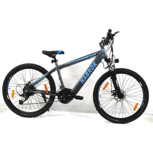 Hbk-Se-03B Habrok Electric Bicycle - Material: Steel