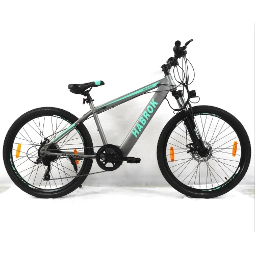 Hbk-Se-04C Habrok Electric Bicycle - Material: Steel