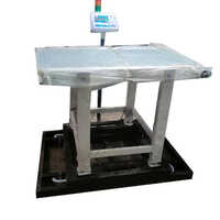 100kg Check Weighing Scale