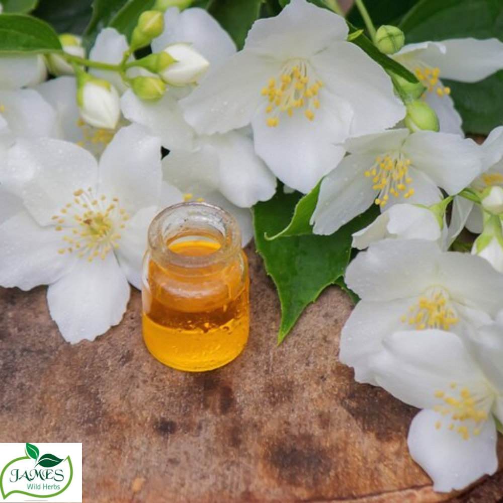 Vanilla Fragrance - High Purity Aroma | Antioxidant Rich, Calming & Moisturizing Properties For Skin Nourishment And Relaxation