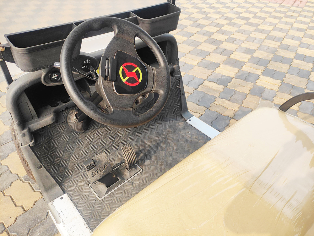 6 Seater Golf Cart