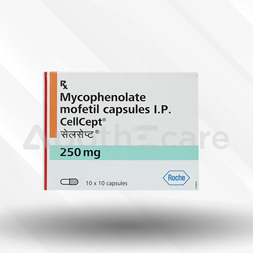 250Mg Mycophenolate Mofetil Tablets Ip - Dosage Form: Liquid