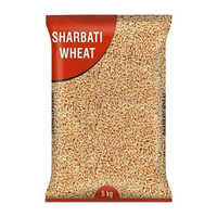 Sharbati Wheat