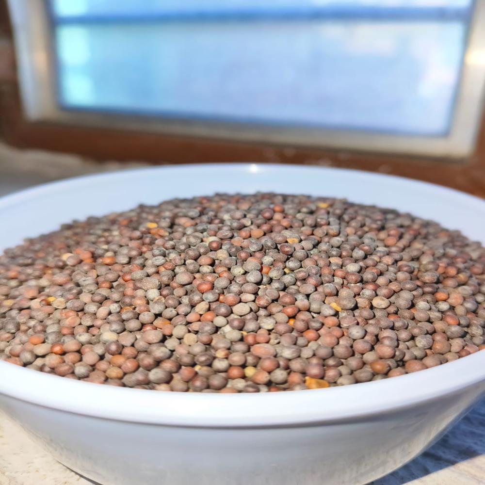 Black Mustard Seeds