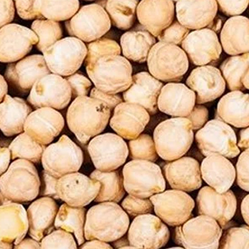 High Grade Kabuli Chana - Organic, Whole, Natural Brown Color | Large Beans (8mm+), High Purity, Versatile for Global Cuisines