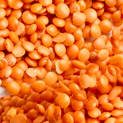 Masoor Dal - Organic, Nil Moisture Content, Splited Pulses | Quick-Cooking, High Purity, Naturally Shaped for Nutritious Meals