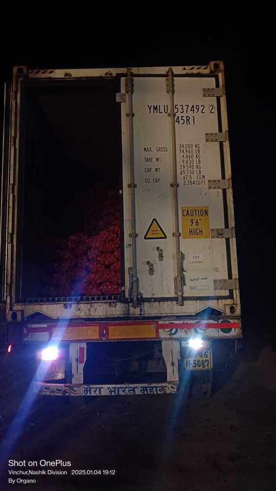 Onion Export Only - Grade: Food