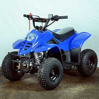 80CC 4 Stroke kids Bike