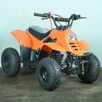 80CC 4 Stroke kids Bike