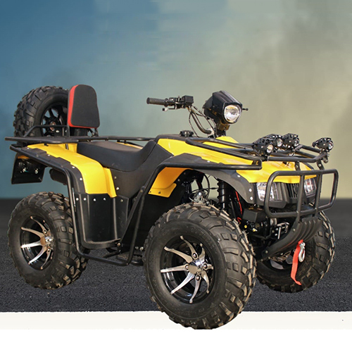 250CC Super Hunk ATV Adult Bike
