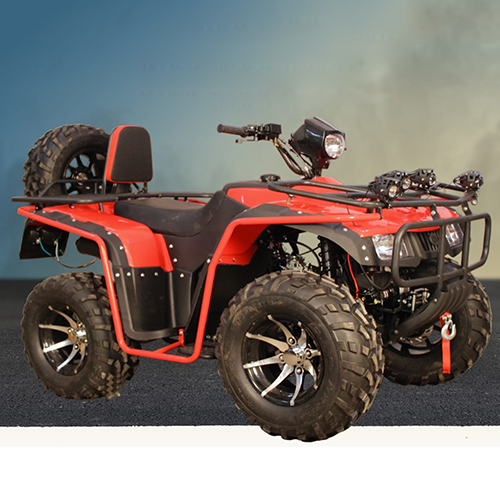 250CC Super Hunk ATV Adult Bike