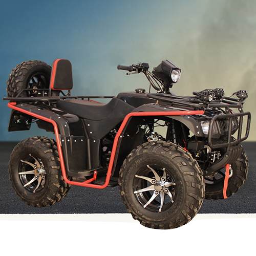 250CC Super Hunk ATV Adult Bike