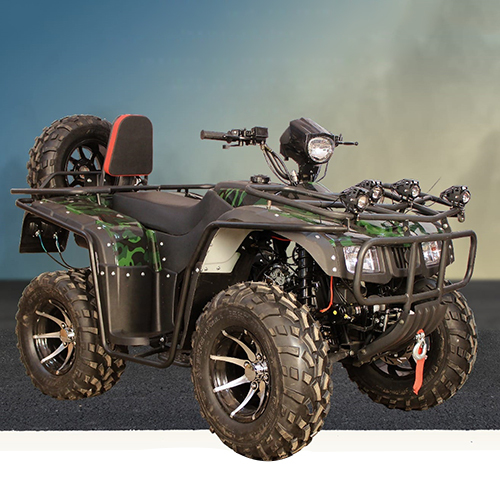 250CC Super Hunk ATV Adult Bike