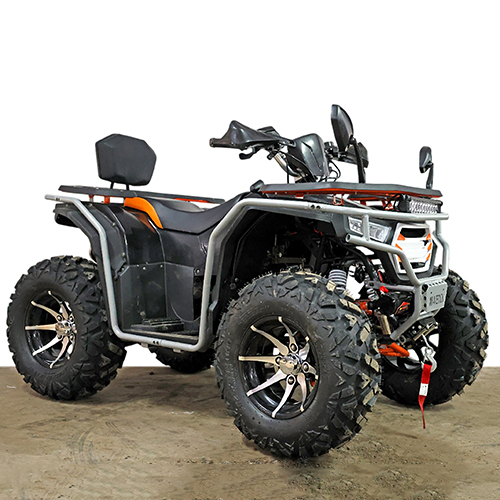 200CC Maverick Adult Bike