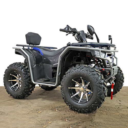 200CC Maverick Adult Bike
