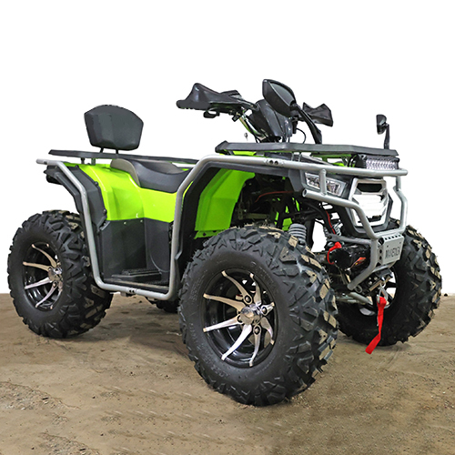 200CC Maverick Adult Bike