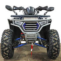 200CC Maverick Adult Bike