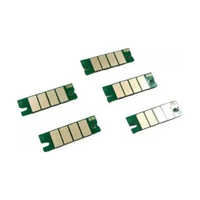 Ricoh All Type Chip - Color: Green