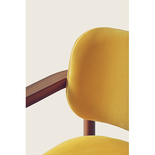 Levitate Solid Wood Dining Chair with Cushioned Upholstry