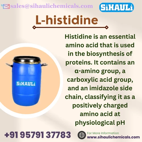 L-Histidine (Amino Acid)