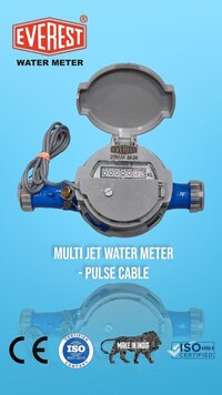 Everest AMR Compatible Water Meter