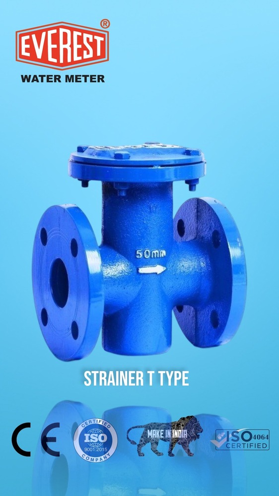 Everest T Type Strainers
