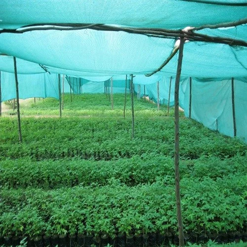 Green Shade Nets - Coating Type: Glossy