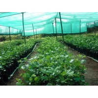 Nursery Shade Net