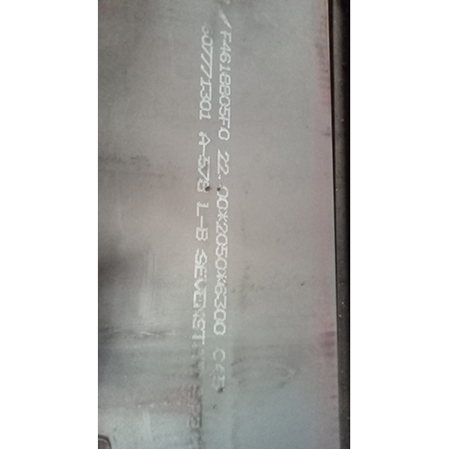 SA516 Gr 70-EVSL प्लेट