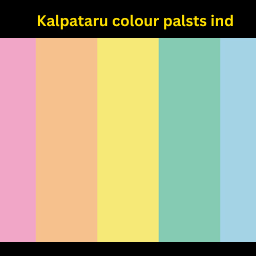 Photos Chips Ready Colour Packets