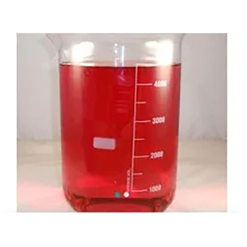 Rodine 213 SF