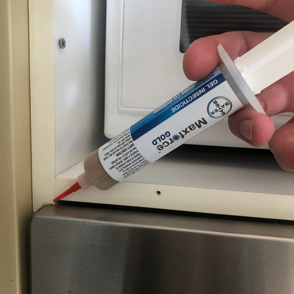 Cockroach Gel Application