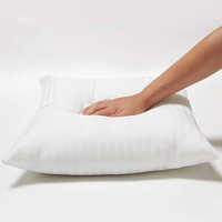 Vacum Pillow