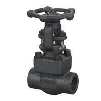 Forged Steel Gate Valve - Color: Black