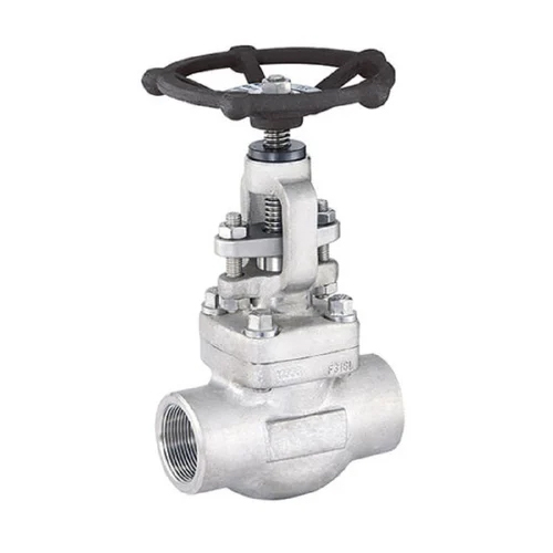 Forged Stainless Steel Gate Valve - Color: Silver