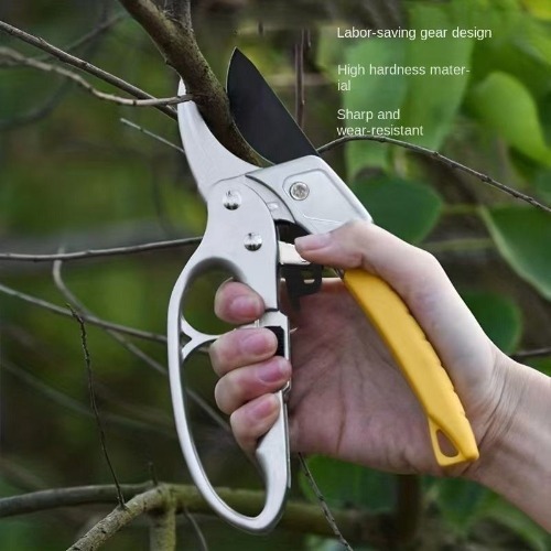 Gardening Steel Scissor