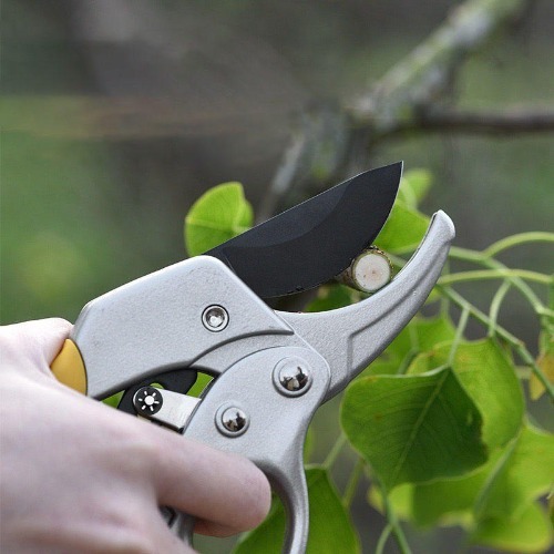 Gardening Steel Scissor