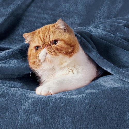 AC Plain Blanket