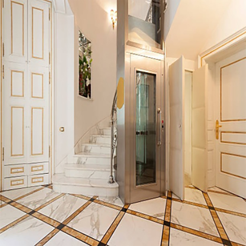 Stainless Steel Home Lift