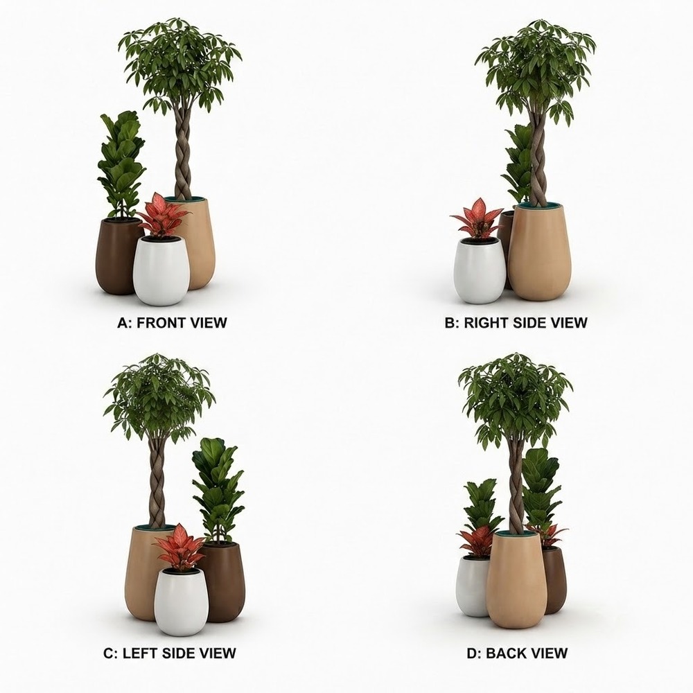 Office Indoor And Outdoor Plants On Rent