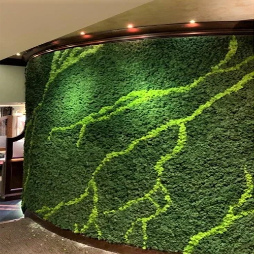 Moss Wall - Color: Green