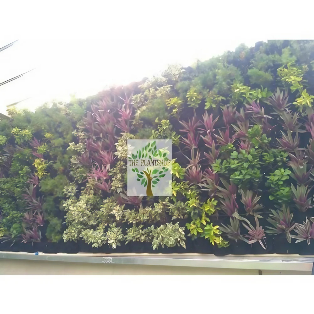 Natural Vertical Garden - Color: Green