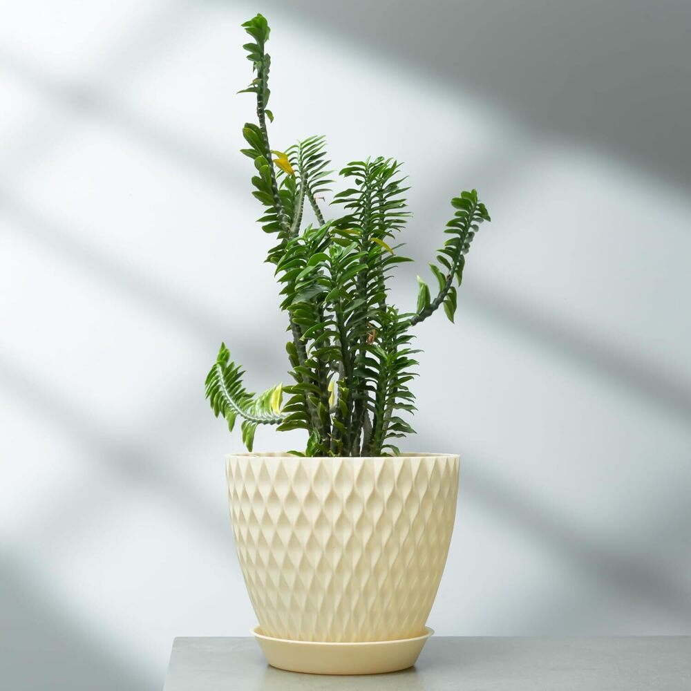 Plastic Round Flower Pots For Indoor & Outdoor - Eco-friendly Polypropylene, 15cm Height, 17.5cm Top Diameter | Durable Design, Effective Drainage System
