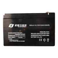 Spray Pump Fast Charging Battery