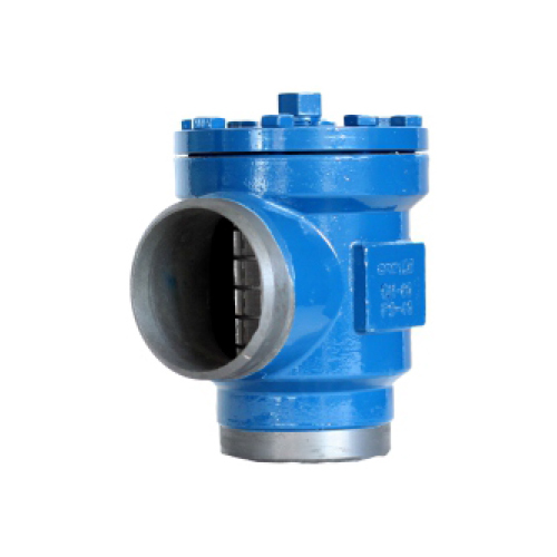 CAS Series Strainer