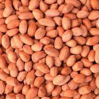 Dry Fruits