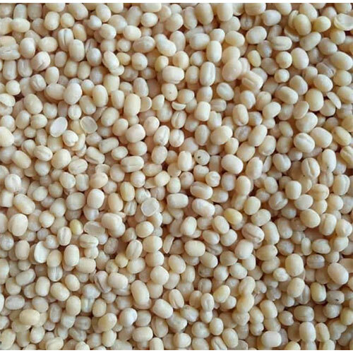 Urad Dal - Color: White