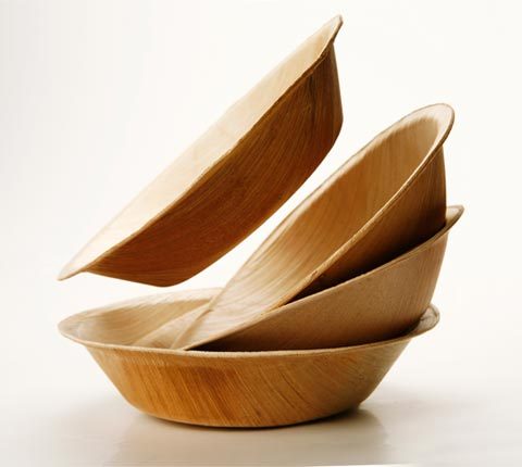 Areca Palm Leaf Products