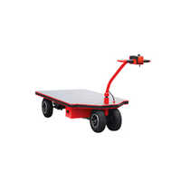 750 KG Medium Size Trolley
