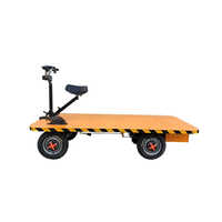 300 KG Micro Size Electric Trolley